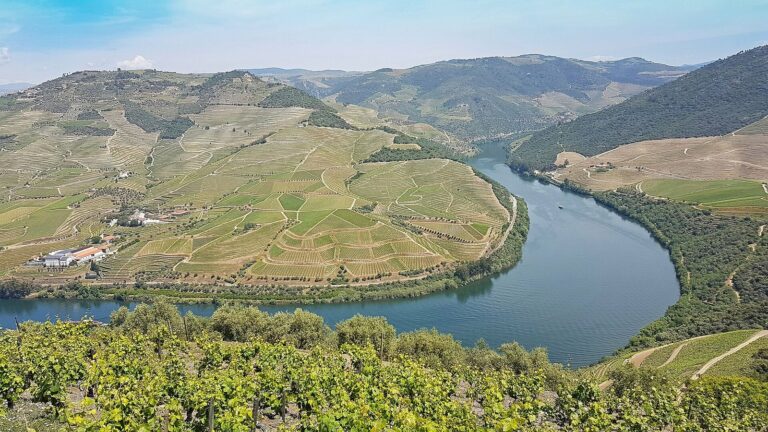 Douro Vale Socalcos Rio 768x432