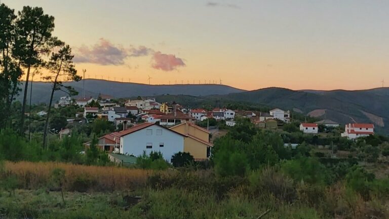 Pinhais Do Zezere Carvoeiro Pampilhosa 768x432
