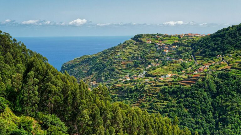 Rl2 A2s Paisagem 768x432