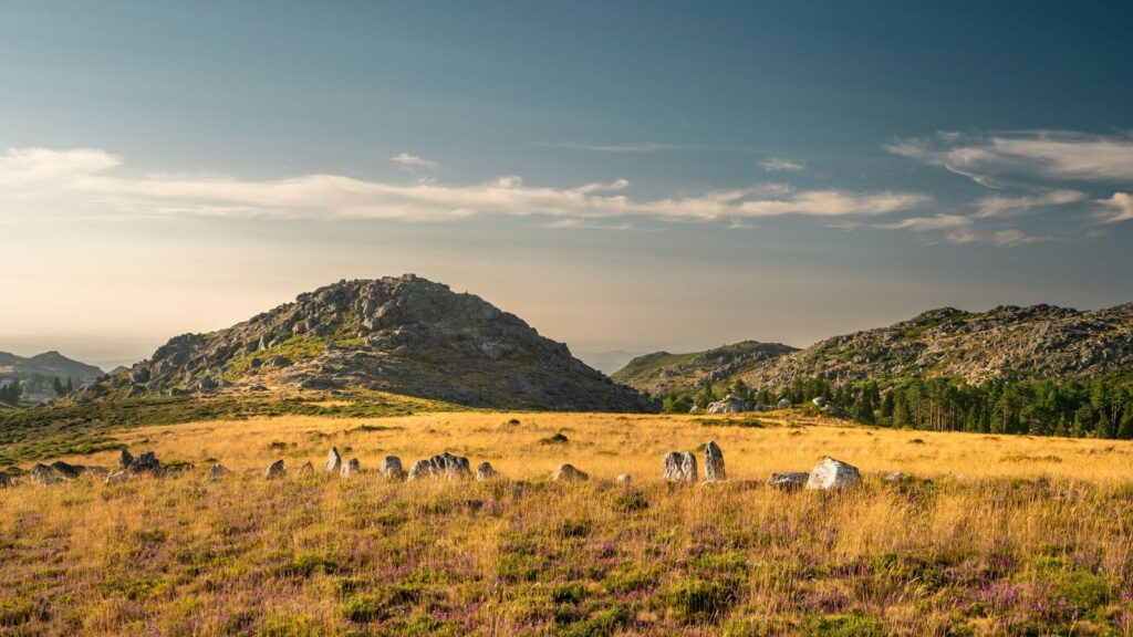 Paisagem: Dão