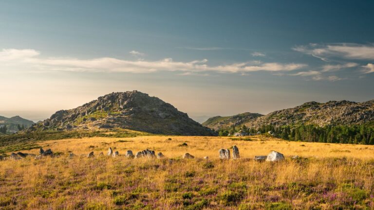 Rl2 Add2030 Paisagem 768x432