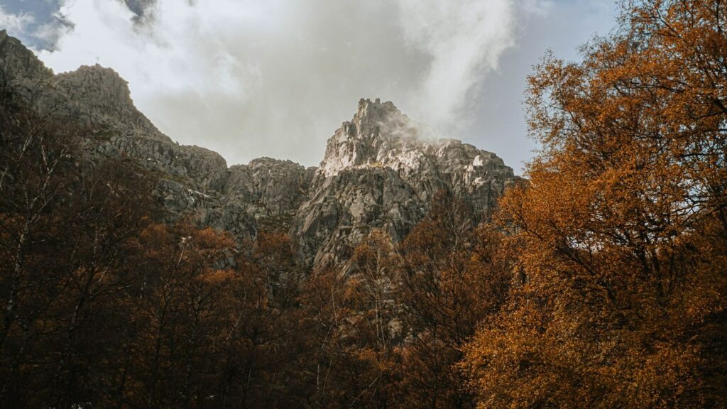 Paisagem: Estrela Sul