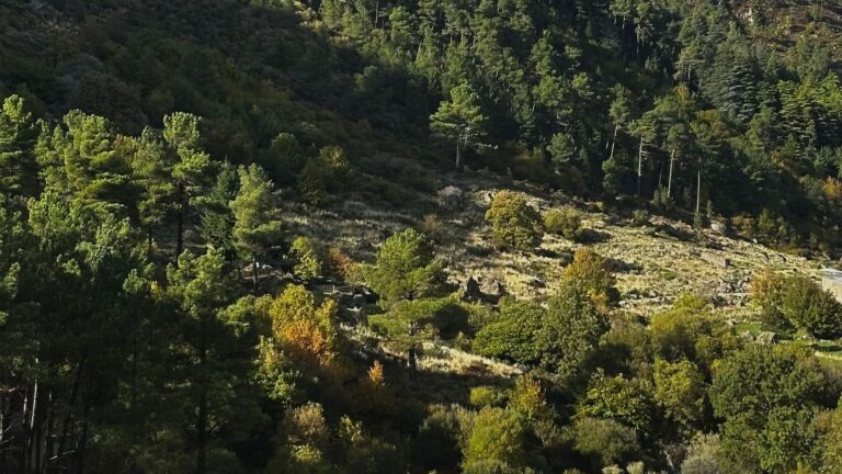 Rl2 Adruse Paisagem 768x432