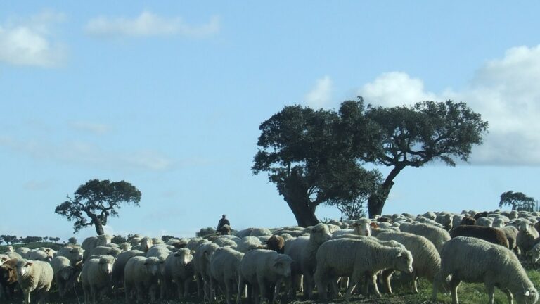 Rl2 Esdime Paisagem 768x432