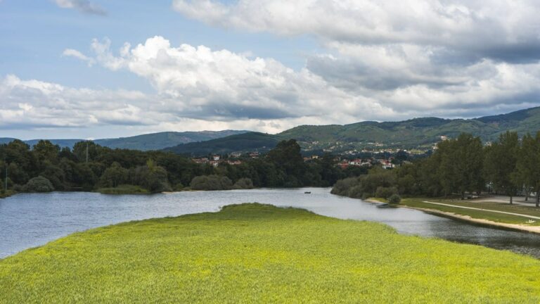 Rl2 Sol Do Ave Paisagem 768x432